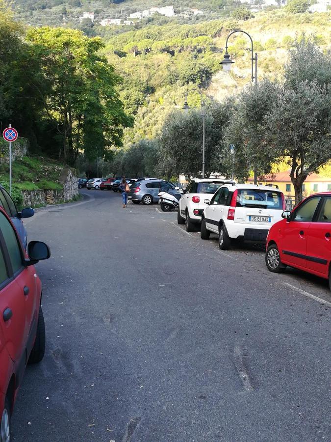 Il Vecchio Gozzo *